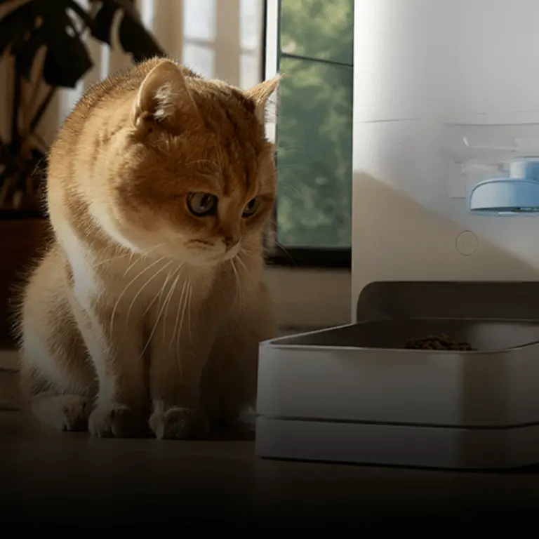 COMO CONFIGURAR SUA CASA INTELIGENTE